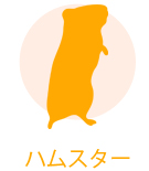 icon_fe.jpg